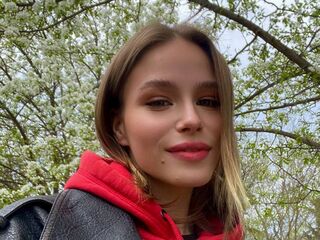 live teaser webcam VeronaBrucker